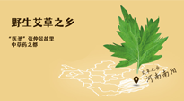 艾草越嫩越好，還是越久越好？悄悄告訴你：艾草這樣用，效果最好！