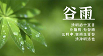 【二十四節(jié)氣灸】谷雨時節(jié)，用艾為您的健康加上一道保險！