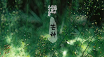 【二十四節(jié)氣灸】芒種節(jié)氣，培土補(bǔ)脾、養(yǎng)陰生津！艾灸這些穴位事半功倍！