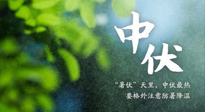 【三伏養(yǎng)生】至熱中伏，吃三樣，喝三樣，三大禁忌千萬(wàn)別犯，小心落下病根！
