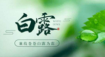 【二十四節(jié)氣灸】白露涼爽，養(yǎng)心肝脾胃、滋陰潤(rùn)肺是關(guān)鍵！