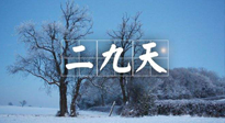 【三九養(yǎng)生】冬二九，扶陽補(bǔ)腎氣，讓你陽氣充足一整年！