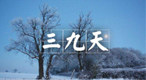 【三九養(yǎng)生】冬三九，三九第三灸，一年中最后艾灸黃金9天！