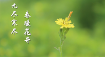 【九九養(yǎng)生】三月四日“九九日”，寒冬已過。春天養(yǎng)好身，全年不怕??！