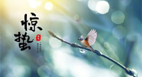 【二十四節(jié)氣灸】驚蟄節(jié)氣，艾灸喚醒抵抗力、補充陽氣的最好時機！