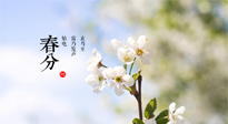 【二十四節(jié)氣灸】春分，平分了大地晝夜；艾灸，平衡了身體陰陽！