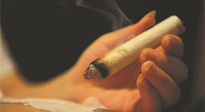 【艾灸知識】春暖花開，衣衫漸薄，再不減肥，身上的肉肉可藏不住了！