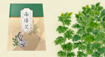 【行業(yè)資訊】國內(nèi)首部艾草專著《南陽艾》，在南陽新書首發(fā)！