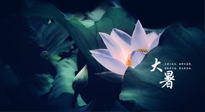 【二十四節(jié)氣灸】趁大暑好好艾灸，才不辜負(fù)三伏天的驕陽！