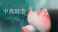 【艾灸三伏天】中伏：三伏灸的關(guān)鍵轉(zhuǎn)折點(diǎn)！“灸”除病根的大好時(shí)機(jī)！