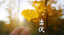 【艾灸三伏天】出伏啦！三防三宜兩穴位，防止身體“秋后算賬”！