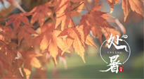 【二十四節(jié)氣灸】處暑，冬病夏治倒計(jì)時(shí)！秋涼真的要來了！