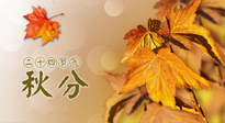 【二十四節(jié)氣灸】秋分節(jié)氣，平衡陰陽，巧用艾灸，潤燥養(yǎng)肺是關(guān)鍵！