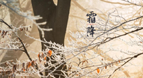 【二十四節(jié)氣灸】霜降節(jié)氣：艾灸四穴，護(hù)您冬天安然無(wú)恙！