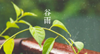 【二十四節(jié)氣灸】谷雨節(jié)氣脾土濕，艾灸降濕濁，脾旺不受邪！