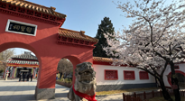【行業(yè)資訊】新華財(cái)經(jīng)：守正創(chuàng)新，中醫(yī)藥品牌化發(fā)展“更上一層樓”！