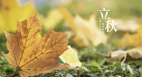 【節(jié)氣養(yǎng)生】甲辰立秋，“2做”、“2不做”，護好我們身體的正氣，預防外邪的侵襲！