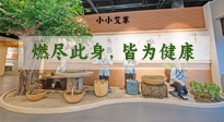 【艾草知識(shí)】小小艾草，渾身是寶，一生燃盡此身，皆為健康！